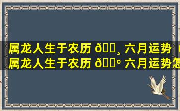 属龙人生于农历 🕸 六月运势（属龙人生于农历 🌺 六月运势怎么样）